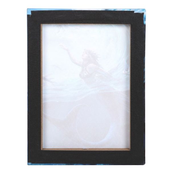 19x25cm Water Element Sorceress Canvas Plaque by Anne Stokes