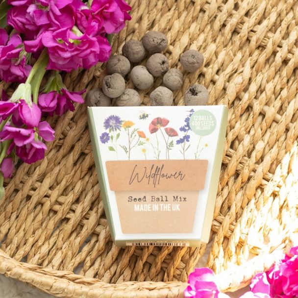 Set of 12 Wildflower Seed Balls Packs in Display