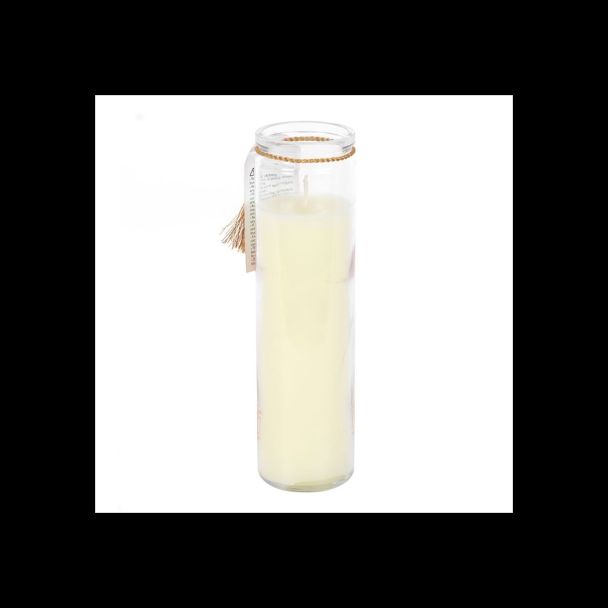 Leopard Palm Sandalwood & Oud Tube Candle