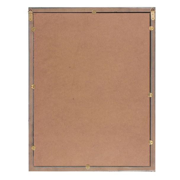 Old Raven Apothecary Mirrored Wall Art