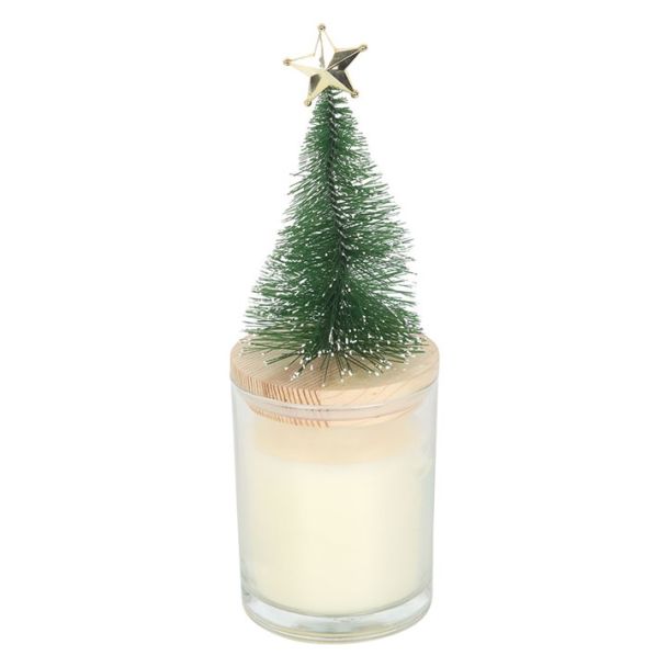 Holly Jolly Pine & Fir Glass Candle with Tree
