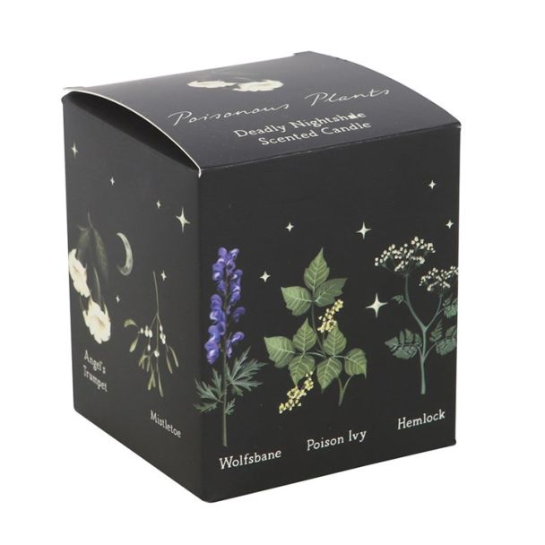 Deadly Nightshade Scented Candle 