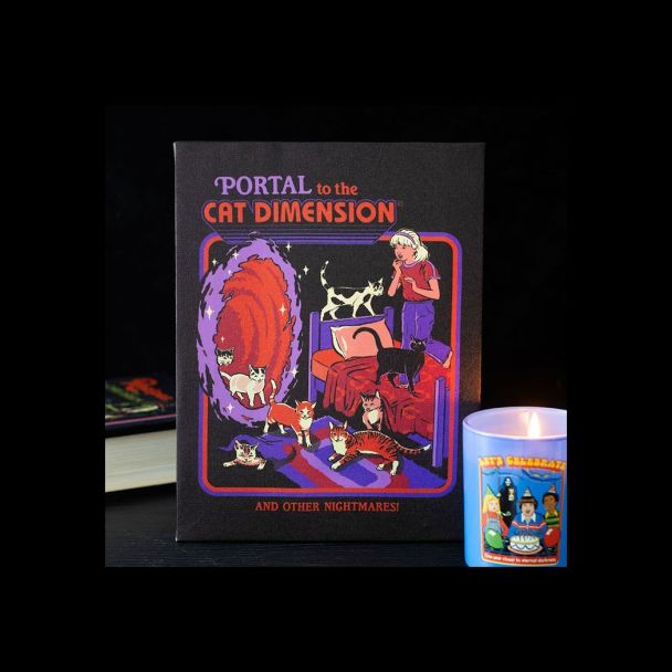 19x25cm The Cat Dimension Canvas Plaque by Steven Rhodes