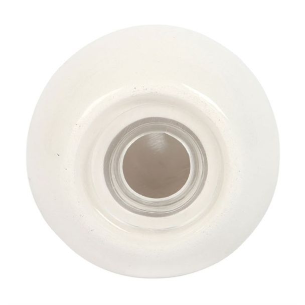 Clam Shell Salt and Pepper Shakers