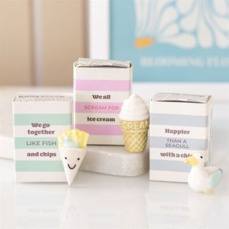 Set of 24 Seagull and Ice Cream Token Gifts in Display