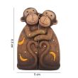 Monkey Family