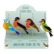Set of 12 British Garden Birds Suncatcher Stakes 