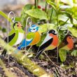 Set of 12 British Garden Birds Suncatcher Stakes 