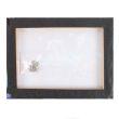 25x19cm Shooting Stars Canvas Plaque by Anne Stokes