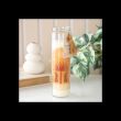 Leopard Palm Sandalwood & Oud Tube Candle