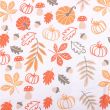 Autumn Leaves and Pumpkins Apron