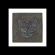 Black Cat Stepping Stone 
