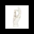 White Palmistry Hand Ornament
