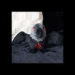 Raven Plush Toy 