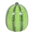 Watermelon Oil Burner and Wax Warmer