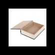 Roll the Dice, Take a Chance Book Shaped Storage Box