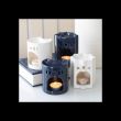 Blue Star Oil Burner