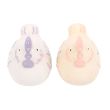 Hen Shaped Salt and Pepper Shakers