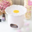 Pink Daisy Oil Burner