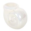 Pearlescent Spiral Shell Oil Burner