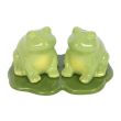 Luna Frog Salt and Pepper Shakers