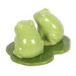 Luna Frog Salt and Pepper Shakers